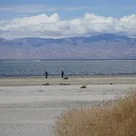Salton Sea is a saga of environmental change at high speed